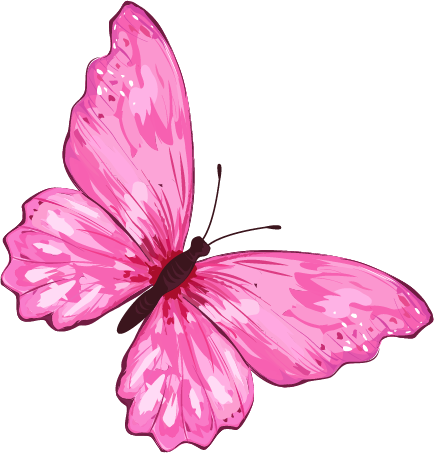 Butterfly2@2x